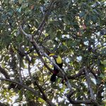 Photo taken by SANTHI S