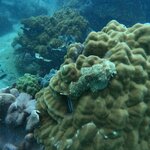 Photo taken by Susan & Bob M