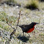 Photo taken by Nicholas T