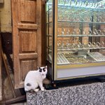 Photo taken by Mary G