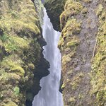 Photo taken by Noelle F