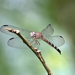 Photo taken by Samantha S