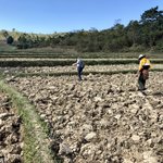 Ready for the next plantings | Photo taken by Gregory R