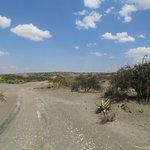 Photo taken by Kristin M