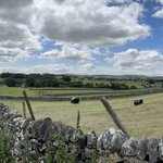 Photo taken by Larry B