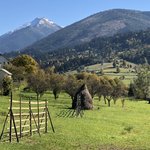 Photo taken by Bayard T