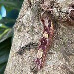 Photo taken by Jaya C