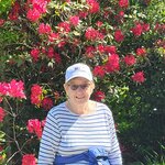 Photo taken by Kathleen P