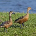 Photo taken by Graham D