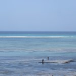 Photo taken by Kristin M