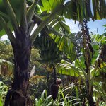 Photo taken by Steven P