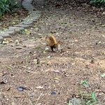 Photo taken by William B