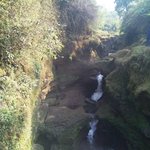 Photo taken by Jillian G