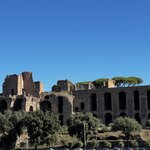 Photo taken by Martha D