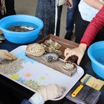 Photo taken by Steve W