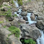 Photo taken by Kelsey W