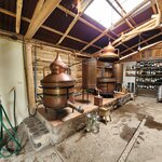 Photo taken by Alexandria T