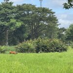 Photo taken by Mariah C