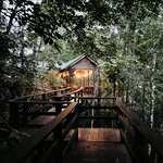 Photo taken by LaTasha J