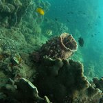 Photo taken by Susan & Bob M