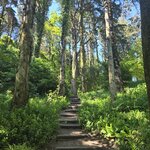 Photo taken by Doug P