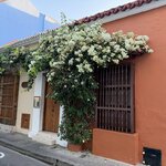 Photo taken by Kevin S