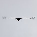 Photo taken by David H