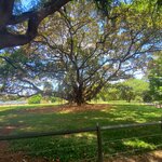 Photo taken by Sean M