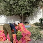 Photo taken by Susan R