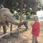 Photo taken by Steve B