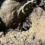 Photo taken by Chris H