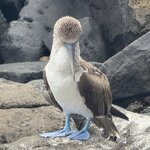 Photo taken by Nimia V