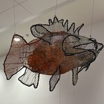 Photo taken by Rosemary S