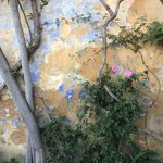 Photo taken by Shawn G