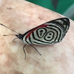 Photo taken by Deborah M