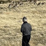 Photo taken by Terry M