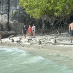 Photo taken by Diego U