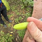 Photo taken by Carrie N