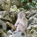 Photo taken by Nicole S