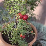 Photo taken by Leah H