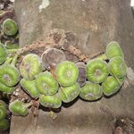 Photo taken by Stephen s