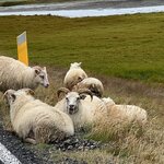 Photo taken by Sara W