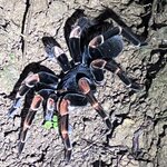 Photo taken by Sheila G