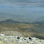 Photo taken by Shanthi V