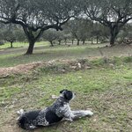 Photo taken by Lynn T