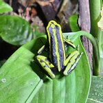 Photo taken by Peter F