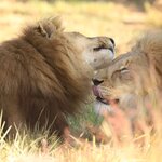 Photo taken by Joaquin M