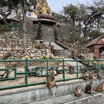 Photo taken by Marianne O