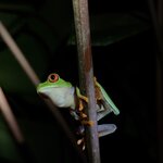 Photo taken by Morton A