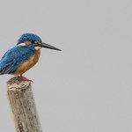 Photo taken by Graham D